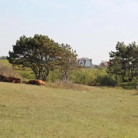 Family Flat On Large Estate Near Beach Appartement Bergen aan Zee